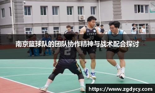 南京篮球队的团队协作精神与战术配合探讨